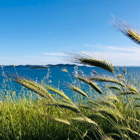 Ecobeachvilla Buqez 9 Pakoštane 外观 照片