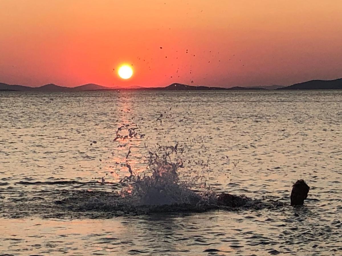 Ecobeachvilla Buqez 9 Pakoštane 外观 照片