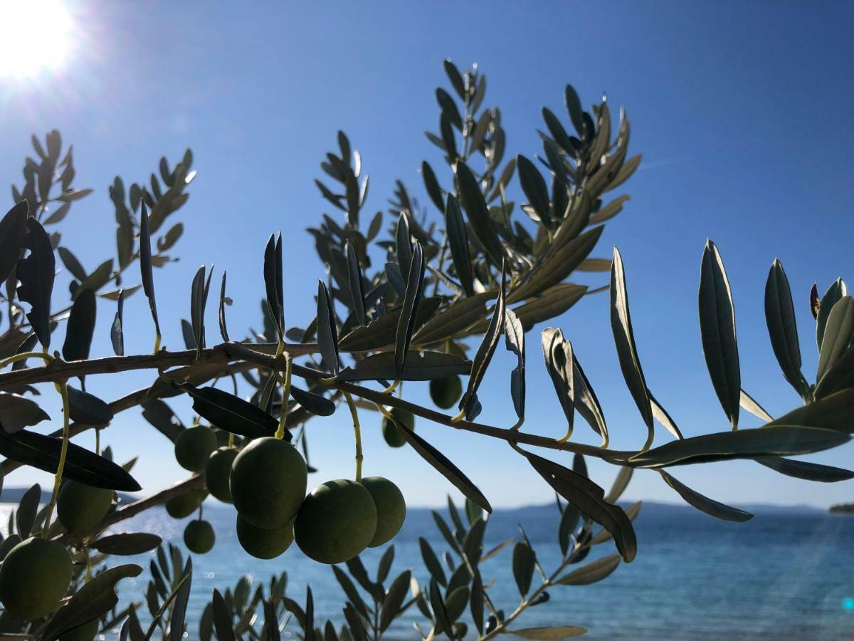Ecobeachvilla Buqez 9 Pakoštane 外观 照片